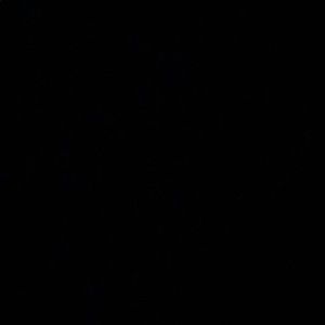 Meet your Posher, Sabrina